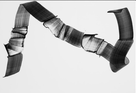 FDA-D.1772-2024-B image FDA-D.1772-2024-B