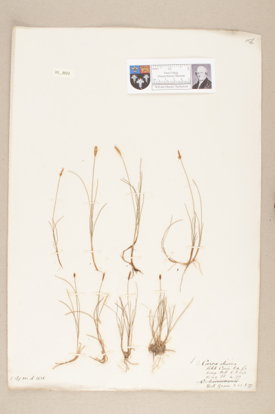 NHM_HH_33.22-2010 image NHM_HH_33.22-2010