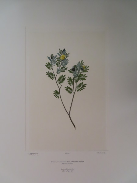 image FDA-E.2916_3_9-2016-A