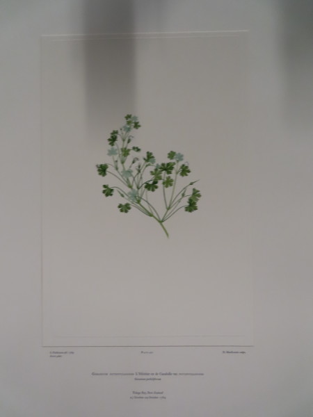 image FDA-E.2916_20_23-2016