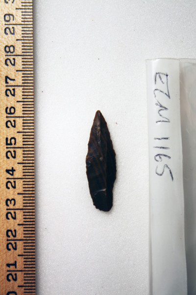 ECM.1165-2010-A image ECM.1165-2010-A