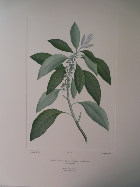 image FDA-E.2916_6_13-2016-A