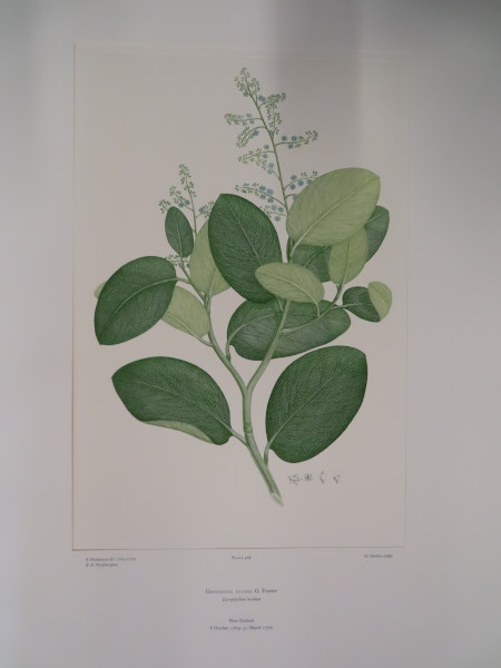 FDA-E.2916_22_25-2016 image FDA-E.2916_22_25-2016