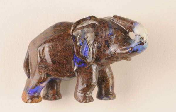 NHM-EE.93-2015 image NHM-EE.93-2015