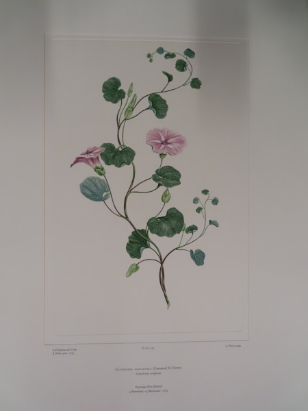 FDA-E.2916_24_26-2016 image FDA-E.2916_24_26-2016