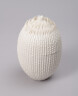 image FDA-A.2565-2024-cr