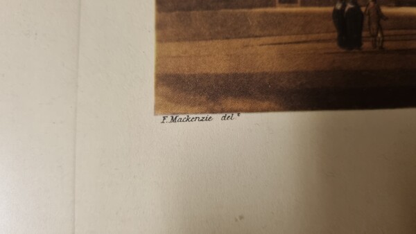 image FDA-E.3331-2026-C