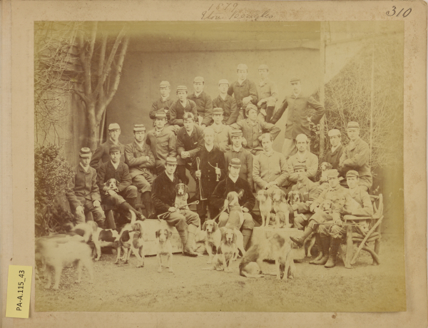 PA-A.115_43-2013 image PA-A.115_43-2013