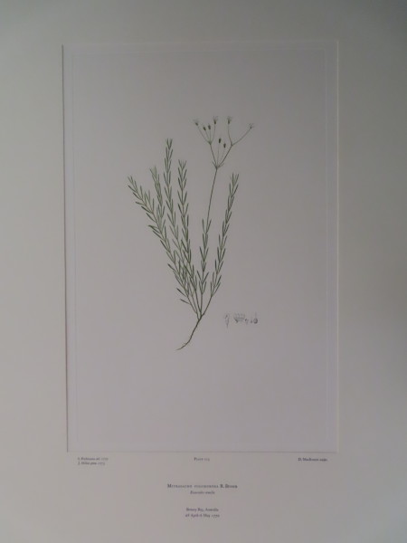 image FDA-E.2916_10_14-2016-A