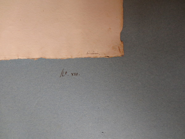 ECL-Bm.13_16-2013-B image ECL-Bm.13_16-2013-B