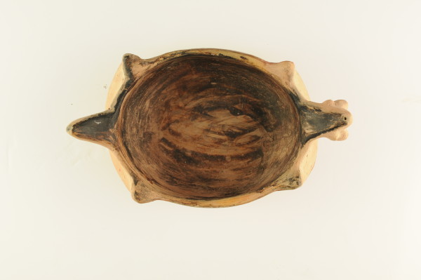 NHM-HT.91-2014-A image NHM-HT.91-2014-A