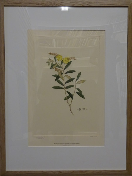 FDA-E.2916_1_5-2016 image FDA-E.2916_1_5-2016