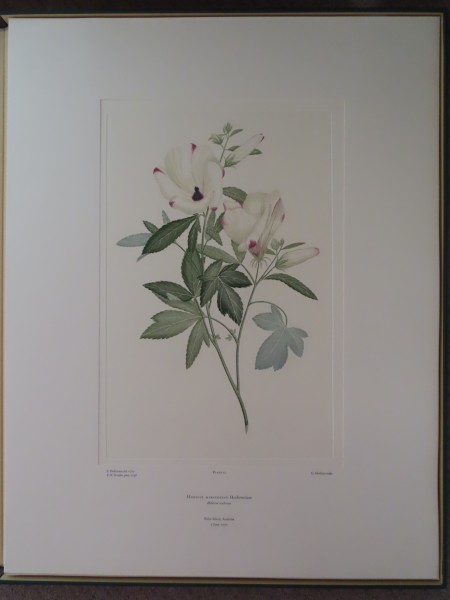 image FDA-E.2916_2_4-2016