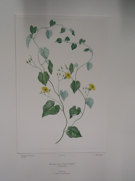 image FDA-E.2916_17_17-2016