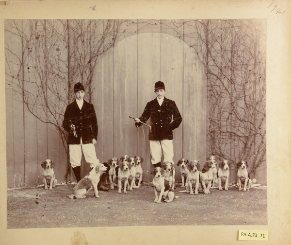 PA-A.73_71-2013 image PA-A.73_71-2013