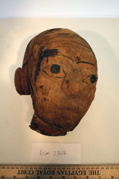 ECM.2307-2017-A image ECM.2307-2017-A