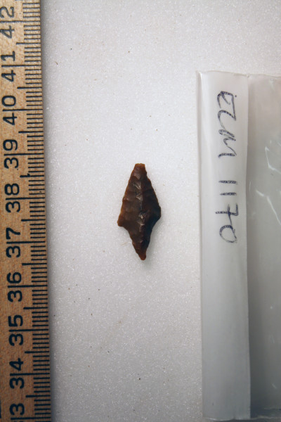 ECM.1170-2010-A image ECM.1170-2010-A