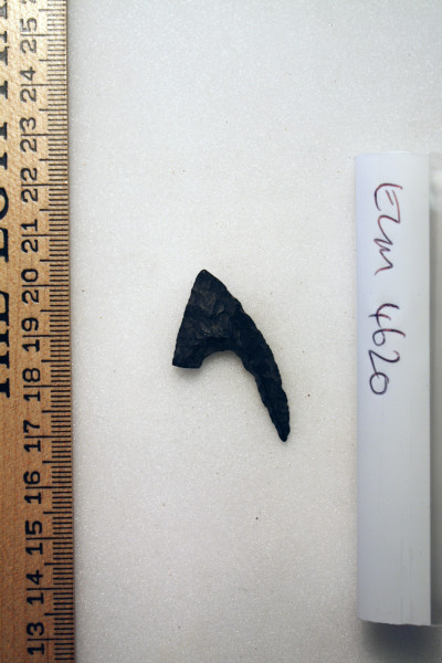 ECM.4620-2017-A image ECM.4620-2017-A