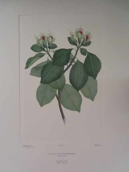 image FDA-E.2916_6_19-2016-A