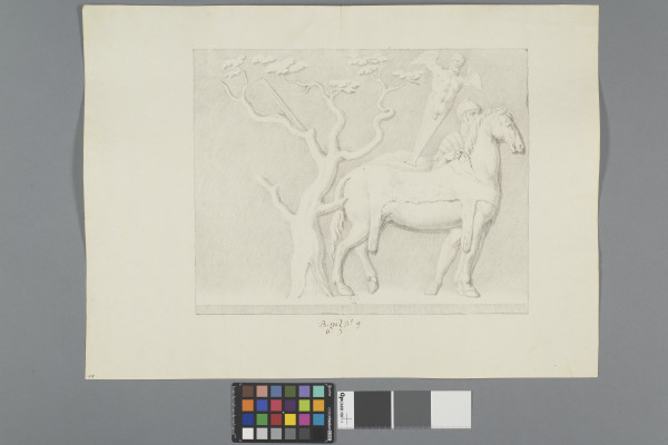 ECL-Bm.6_9-2012 image ECL-Bm.6_9-2012