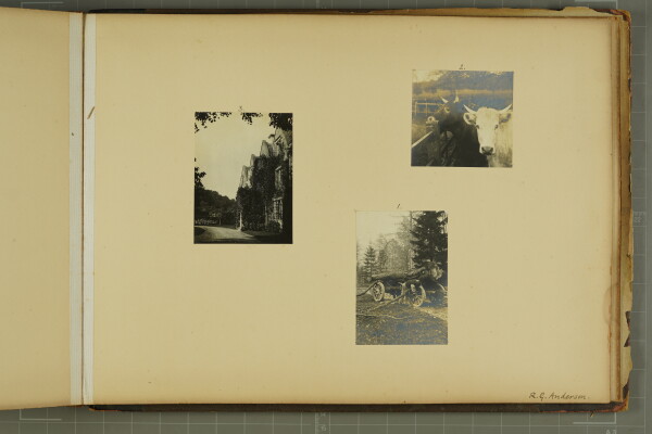 PA-A.79_46-2024 image PA-A.79_46-2024