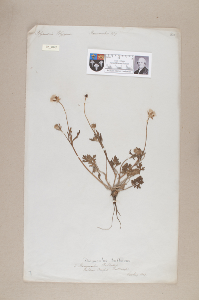 NHM_HH_7.47-2010 image NHM_HH_7.47-2010