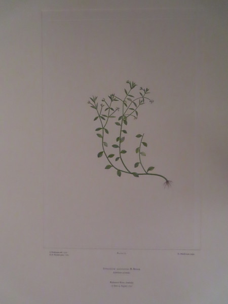 image FDA-E.2916_8_18-2016-A