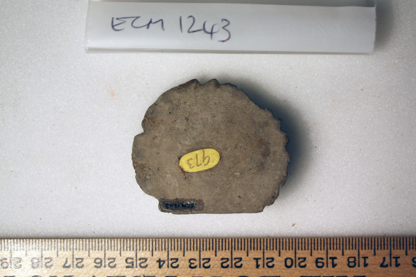 ECM.1243-2010-B image ECM.1243-2010-B