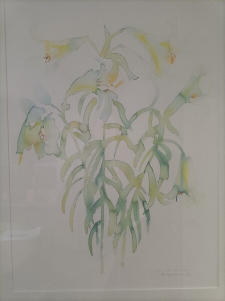 image FDA-D.1790-2026-B