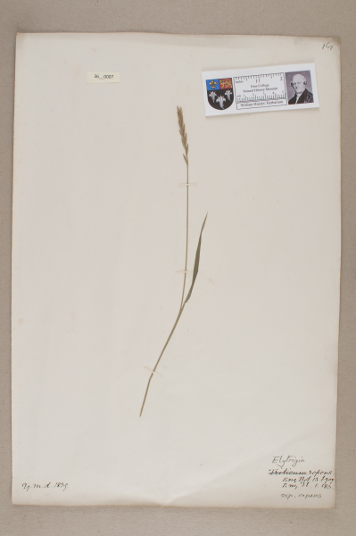 NHM_HH_36.7-2010 image NHM_HH_36.7-2010