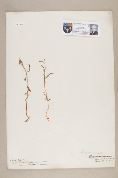 NHM_HH_8.57-2010 image NHM_HH_8.57-2010