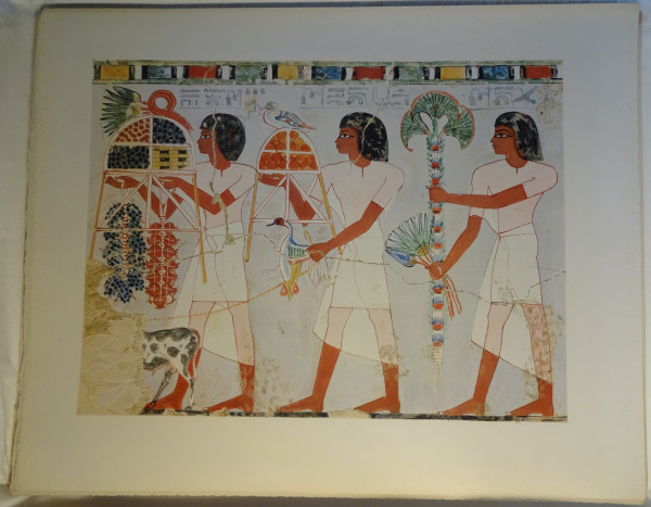 image FDA-E.3055_50-2018