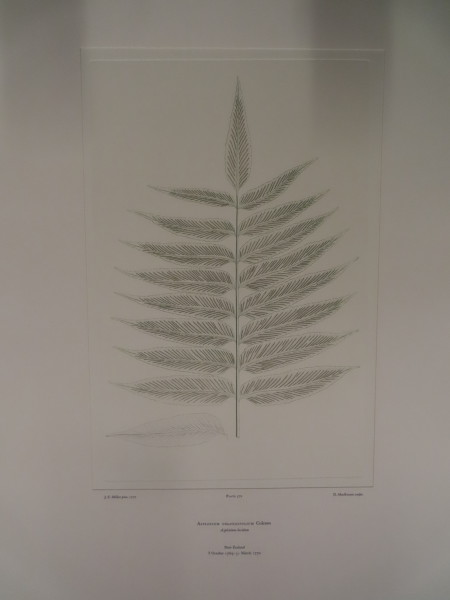 FDA-E.2916_27_14-2016 image FDA-E.2916_27_14-2016