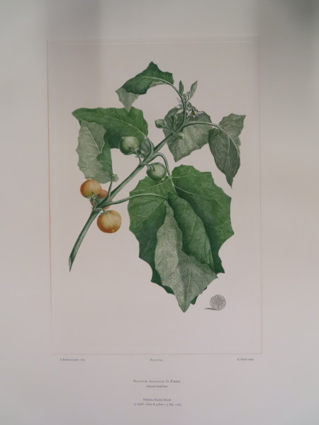 image FDA-E.2916_30_7-2016-A