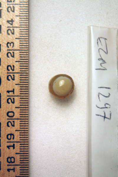 ECM.1297-2010-A image ECM.1297-2010-A