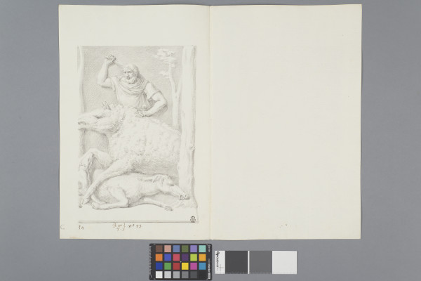 ECL-Bm.8_53-2013 image ECL-Bm.8_53-2013