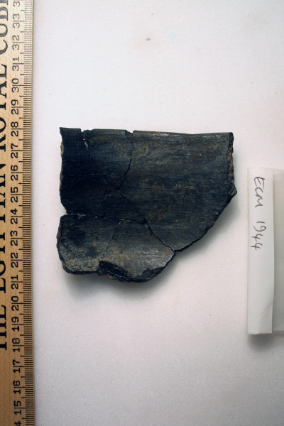 ECM.1944-2010-B image ECM.1944-2010-B