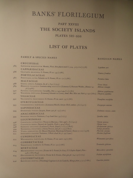 image FDA-E.2916_28_3-2016