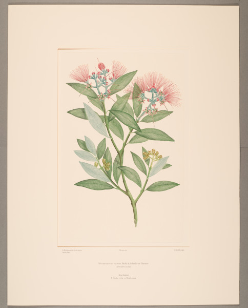 FDA-E.2916_21_25-2016-cr image FDA-E.2916_21_25-2016-cr