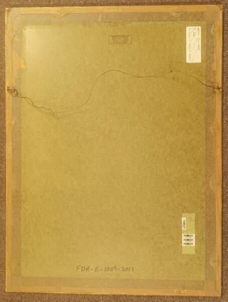 image FDA-E.1009-2013-F