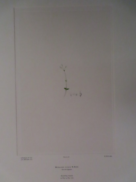 FDA-E.2916_10_19-2016 image FDA-E.2916_10_19-2016