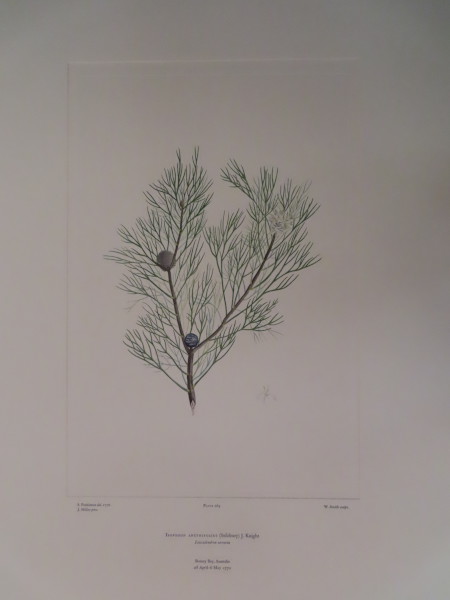 FDA-E.2916_12_25-2016 image FDA-E.2916_12_25-2016