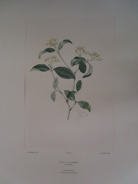 image FDA-E.2916_16_10-2016-A