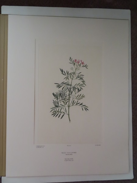 image FDA-E.2916_2_10-2016