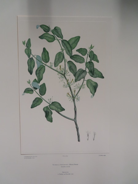 FDA-E.2916_18_13-2016 image FDA-E.2916_18_13-2016