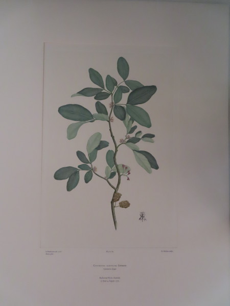 image FDA-E.2916_4_21-2016-A