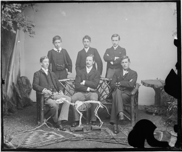 PA-N.767-2024 image PA-N.767-2024