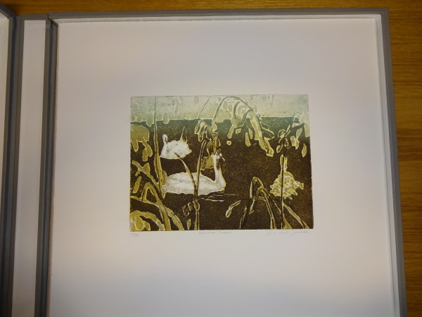 image FDA-E.2958_4-2017