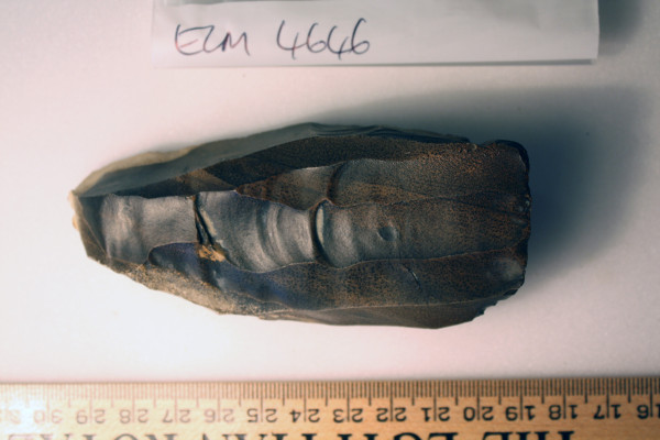 ECM.4646-2017-B image ECM.4646-2017-B