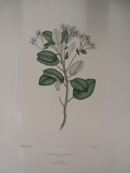 FDA-E.2916_23_12-2016-A image FDA-E.2916_23_12-2016-A